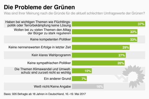 Die Probleme der Grünen