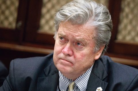 Steve Bannon