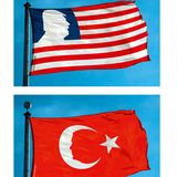 Cartoon-Buch: Ist denn die ganze Welt bekloppt geworden?