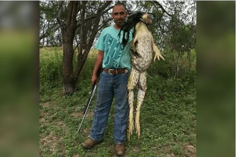 Fang in Texas: Was ist das für ein Monster?