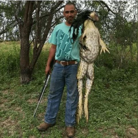 Fang in Texas: Was ist das für ein Monster?
