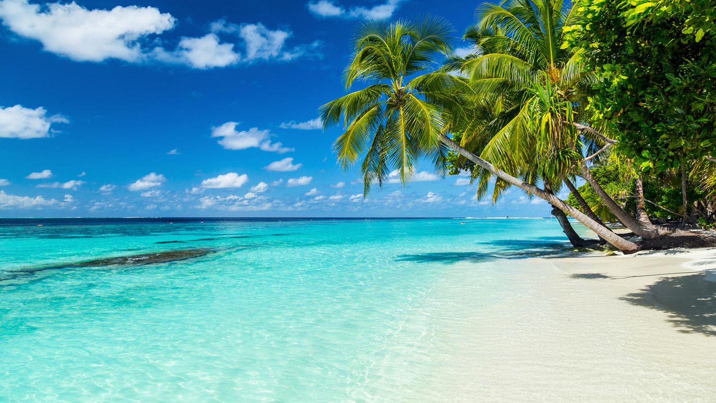 So viel besser als hinter Gittern: ein Strand in der Karibik (Symbolbild)