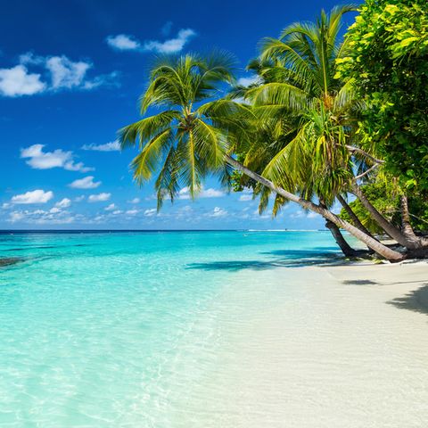 So viel besser als hinter Gittern: ein Strand in der Karibik (Symbolbild)