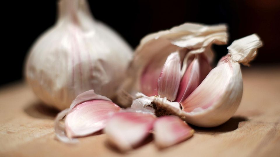 Knoblauch Knobi anbauen Knoblauch zuhause anbauen, so einfach geht's