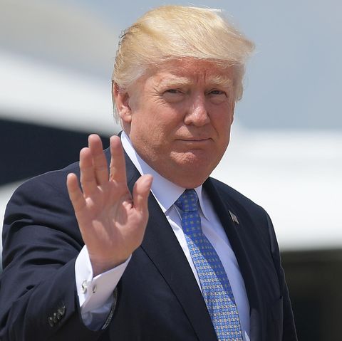 Donald Trump will sich angeblich vom Pariser Abkommen verabschieden