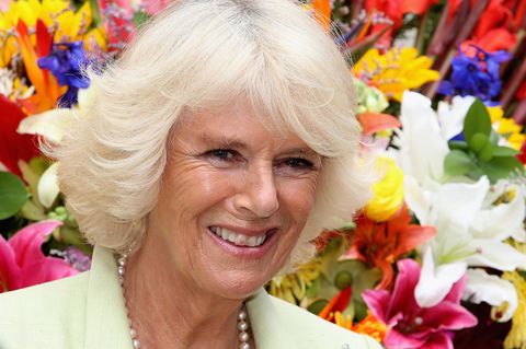 Herzogin Camilla