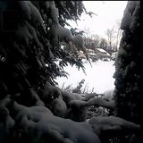 Diese Häuser sind im Hintergrund aus einem Fenster zu sehen gewesen. Europol fragt: Kennt jemand diese Gebäude?