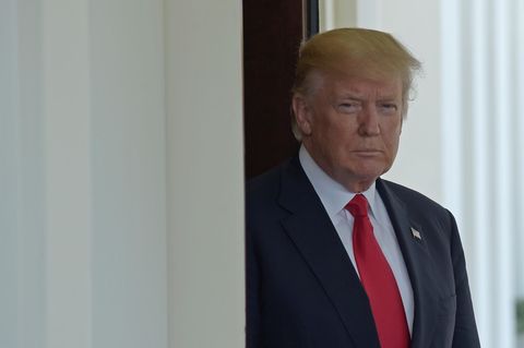 Donald Trump Personal