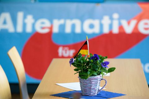 Der Landesverband Saar der AfD gerät immer wieder in die Schlagzeilen