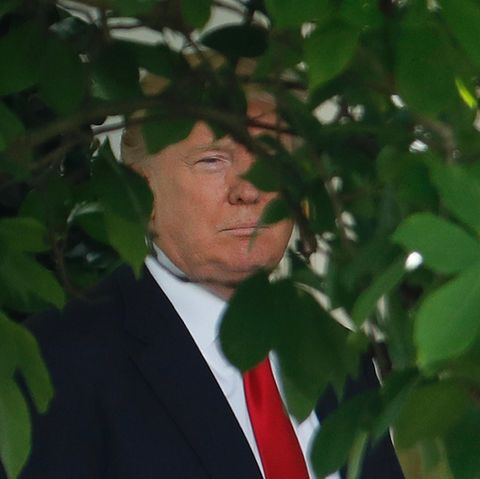 US-Präsident Donald Trump löst mit dem angekündigten Ausstieg aus dem Pariser Abkommen ein Wahlversprechen ein