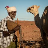 Die Kamele des 73-jährige Nomade Boru Kote konnten der Dürre bislang trotzen, aber von 45 Ziegen blieben ihm nur vier.