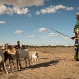Gano Dido Halakhe, 37, hatte vor der Dürre über hundert Ziegen und Schafe, davon blieben ihr nur sieben. Auch ihre beiden Esel zum Wassertransport starben. Ihr Junge hilft ihr beim Viehhüten, geht nicht zur Schule