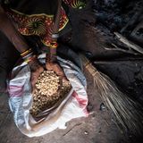 Gerade mal noch knapp acht Kilo Mais (aus einer Hilfslieferung) hat diese Familie zum Überleben. Tee oder Speiseöl sind plötzlich Luxus. 