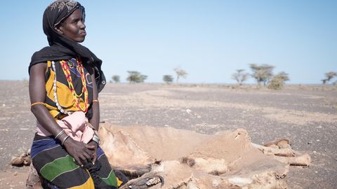 Kame sora Sake aus El- Isacko Mala hat vor einem Monat ihr Kamel verloren... Inzwischen bereut sie, dass sie ihre Ziegen und Schafe nicht rechtzeitig verkauft hat.