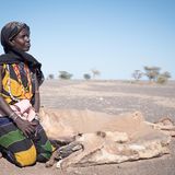 Kame sora Sake aus El- Isacko Mala hat vor einem Monat ihr Kamel verloren... Inzwischen bereut sie, dass sie ihre Ziegen und Schafe nicht rechtzeitig verkauft hat.