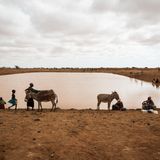Von der Hilfsorganisation Misereor finanziertes Auffangbecken bei Korr, dass sich nach ersten Regenfällen sofort gefüllt hat.