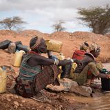 Davon profitieren vor allem die hier lebenden Borana - ein Nachbarstamm der Gabra.