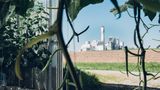 Die Anlage befindet sich auf einer Müllverbrennungsanlage. Günstige Abwärme ist wichtig, um die CO2-Fabrik kostengünstig betreiben zu können.