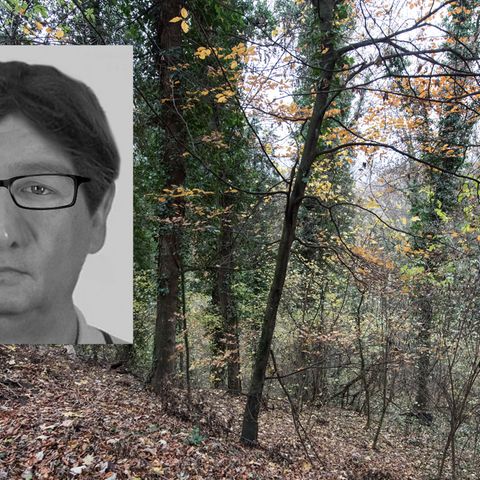 In diesem Waldstück bei Freiburg wurde die Leiche der vergewaltigten und ermordeten Joggerin gefunden