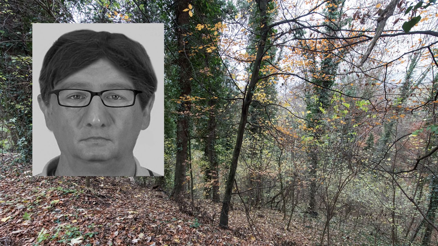 In diesem Waldstück bei Freiburg wurde die Leiche der vergewaltigten und ermordeten Joggerin gefunden