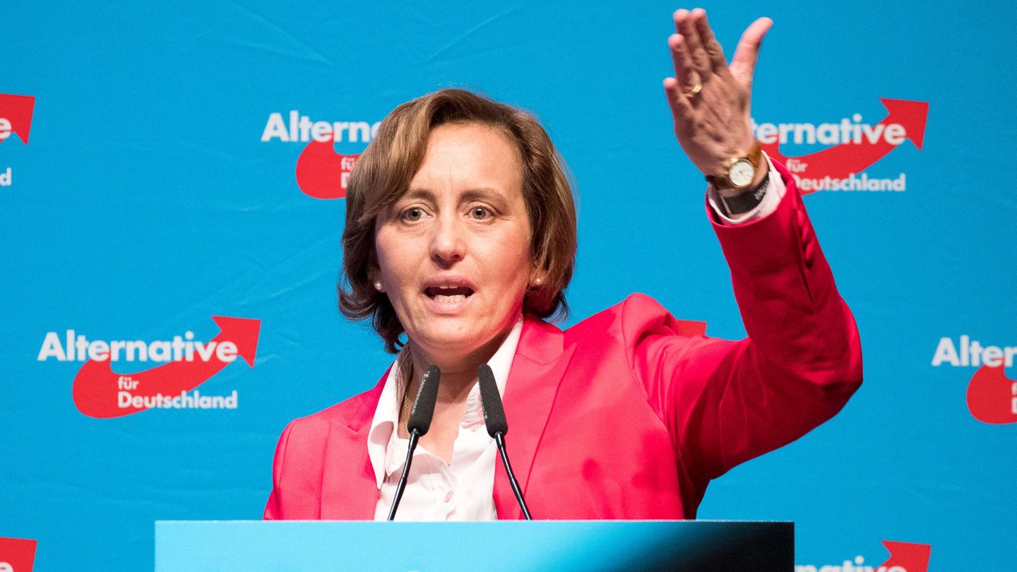 Beatrix von Storch AfD