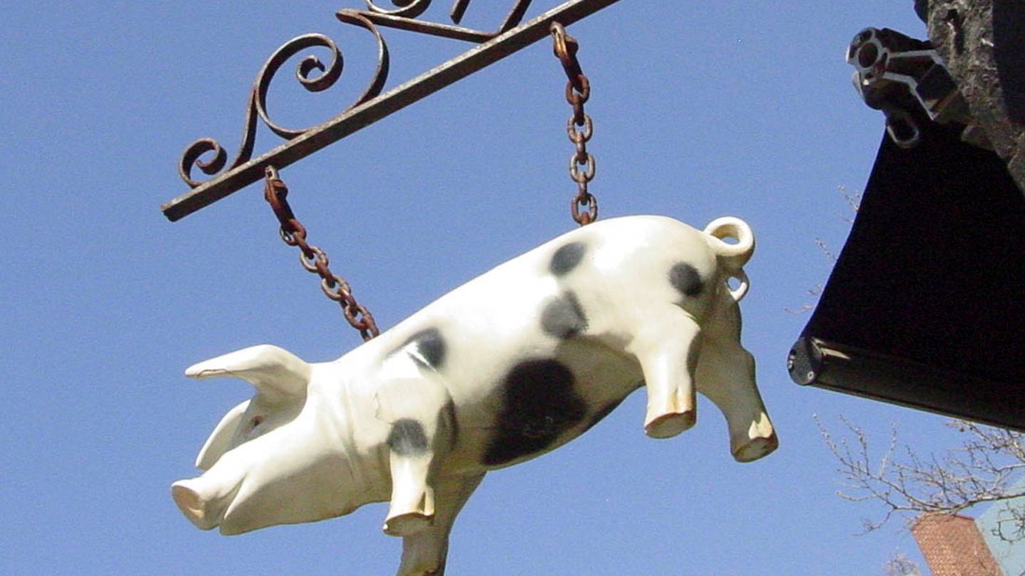 Selbst dieses Schwein wurde entführt.