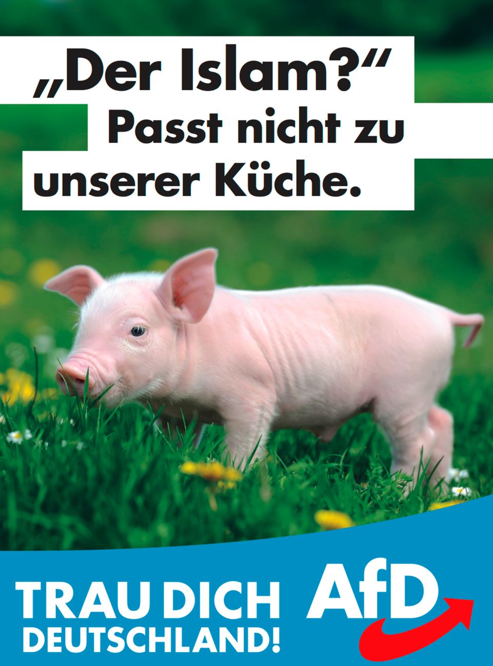Eines der Wahlplakate der AfD Eines der Wahlplakate der AfD