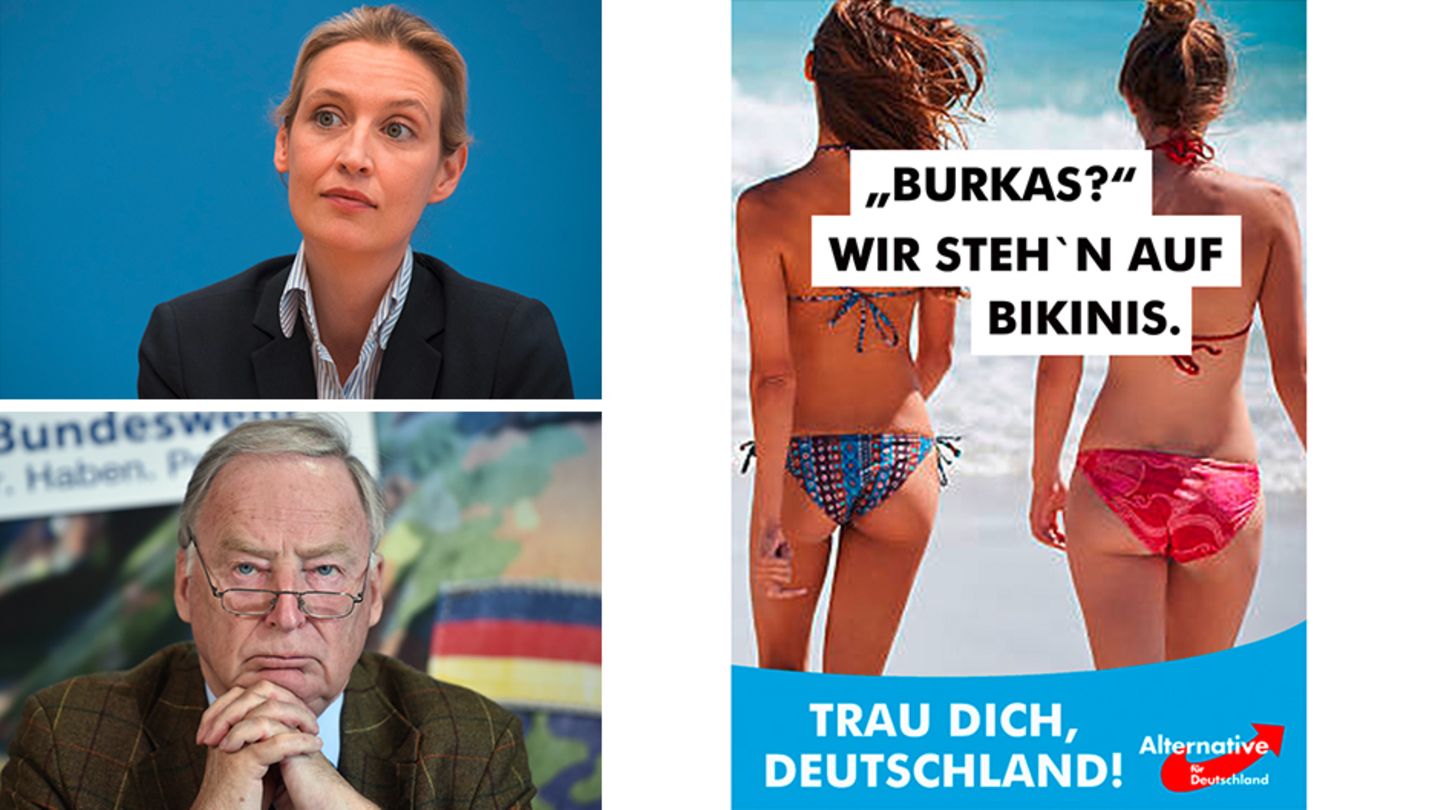 Die Wahlkampagne entzweit die AfD