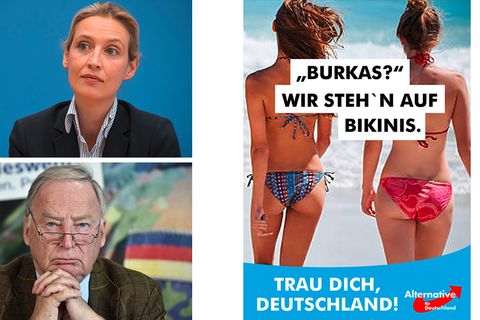 Die Wahlkampagne entzweit die AfD