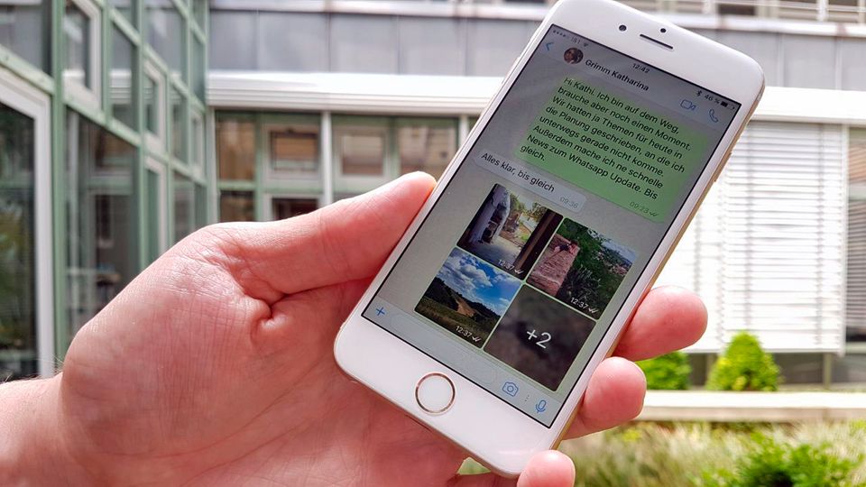 Auf einem iPhone ist das aktuelle Whatsapp-Update mit Fotoalben zu sehen