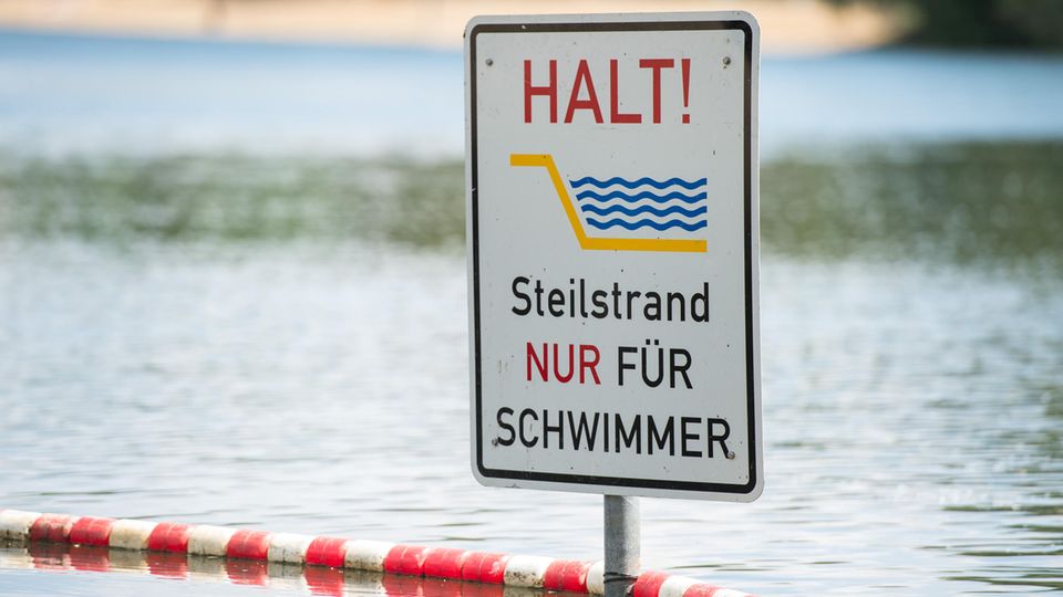 Warnung der DLRG: Das Seepferdchen ist völlig überbewertet - und das ist gefährlich Warnung der DLRG: Das Seepferdchen ist völlig überbewertet - und das ist gefährlich