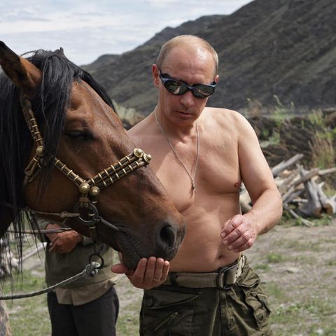 Wladimir Putin inszeniert sich gerne als Macho