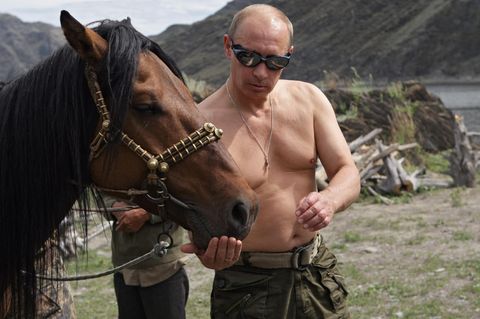Wladimir Putin inszeniert sich gerne als Macho