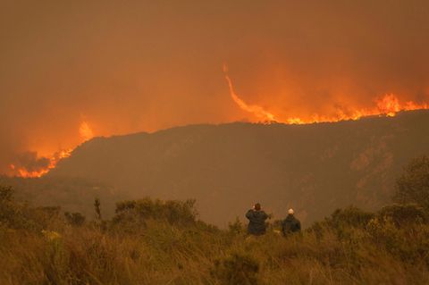 Etwa 350 Feuerwehrleute bekämpfen die Buschbrände an Südafrikas Küste
