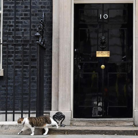 Wahlen in Großbritannien Downing Street