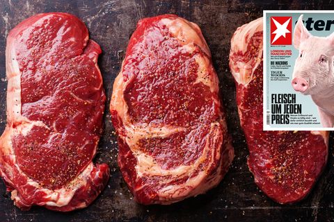 Fleisch
