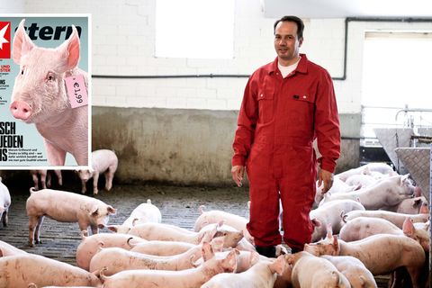 6 Fragen an einen Schweinebauern: Was ein Landwirt davon hält, wenn sein Fleisch für wenige Euro verramscht wird