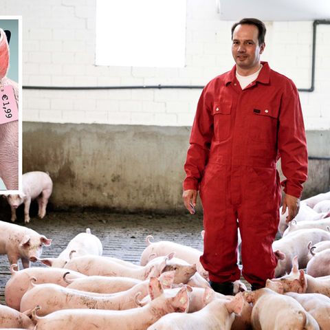 6 Fragen an einen Schweinebauern: Was ein Landwirt davon hält, wenn sein Fleisch für wenige Euro verramscht wird