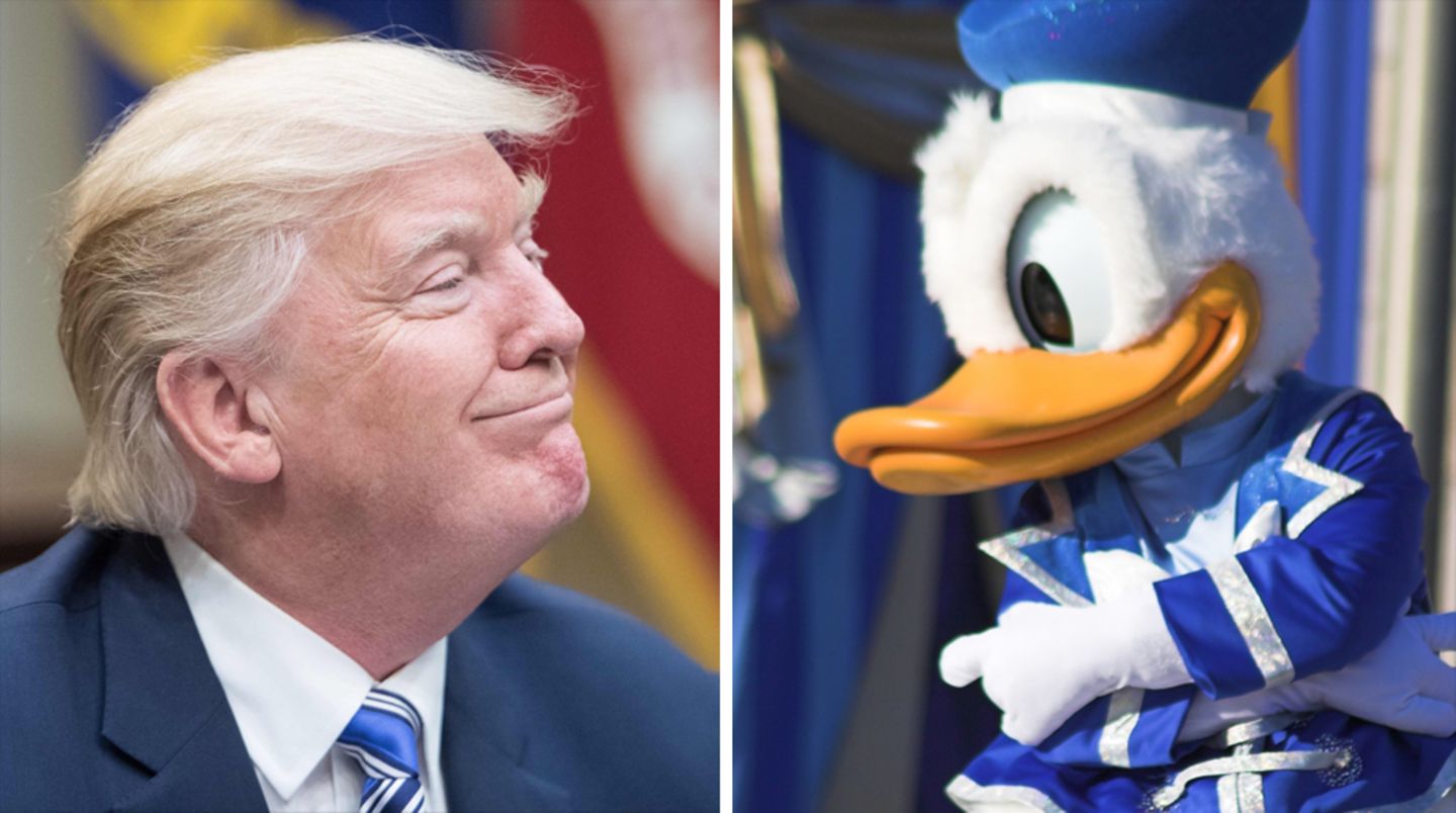 Donald trump und Donald Duck