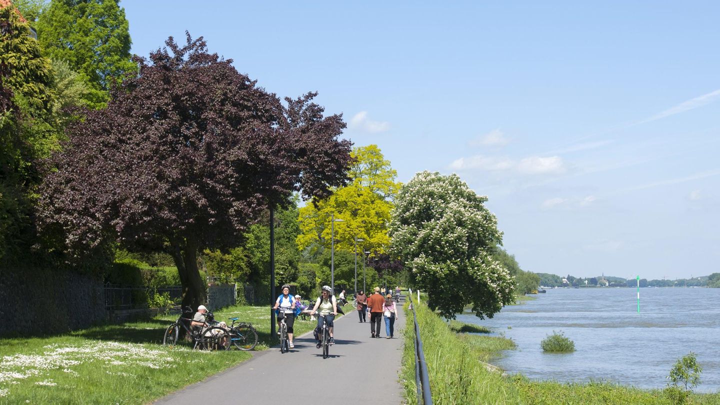 Das Rheinufer in Bonn