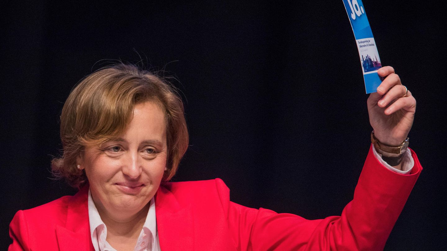 Tortenattacke Auf Beatrix Von Storch 150 Euro Strafe Stern De