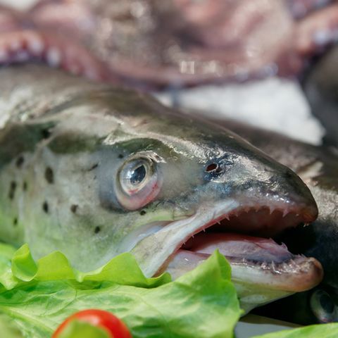 Nicht alles, was Kunden zurückbringen, ist noch ganz frisch