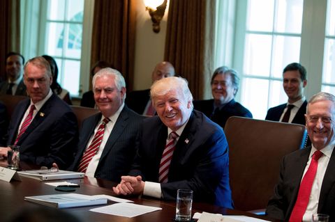 Donald Trump bei seiner ersten Kabinettssitzung