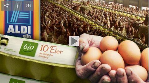 Bio-Eier von Aldi-Süd: Die Mär von glücklichen Hühnern