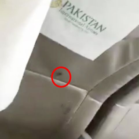 Pakistan International Airlines: Passagier filmt Kakerlaken im Flieger