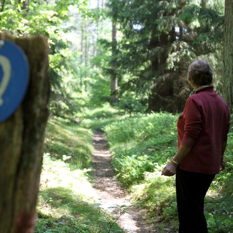 Eine heute 76-jährige Augenzeugin begegnete dem vermeintlichen Göhrde-Mörder kurz nach der Tat