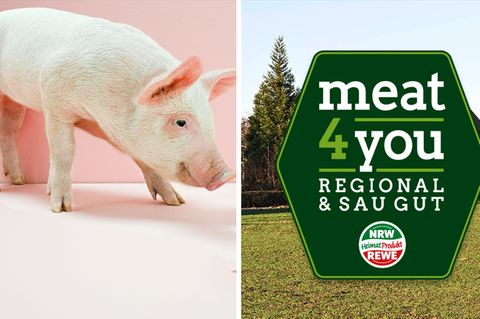 Schweinefleisch ohne Antibiotika – wie Rewe den Verbraucher täuscht