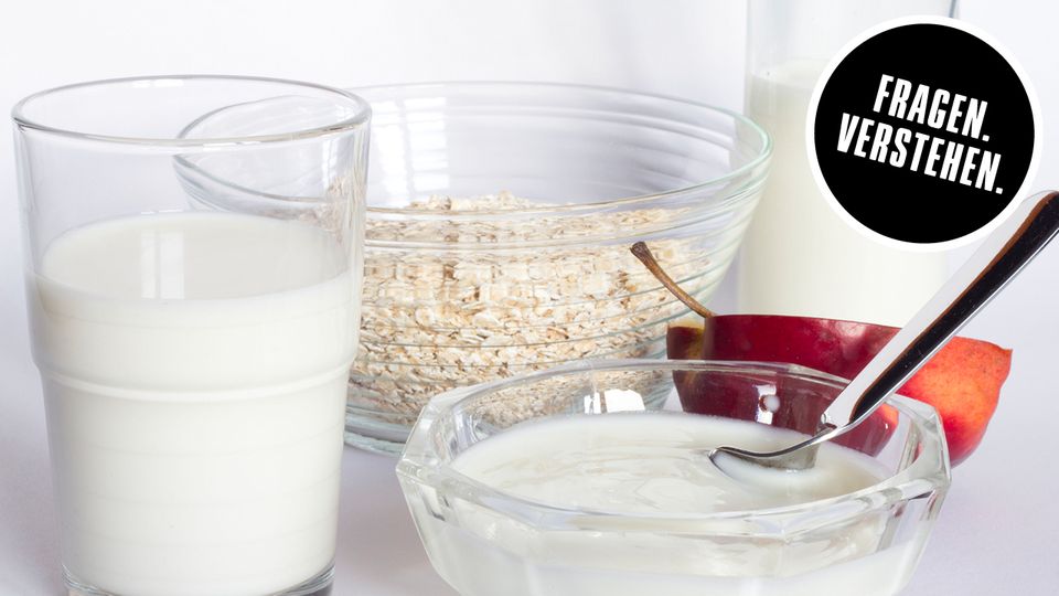 Laktose Intoleranz laktosefrei Ist Laktose-Intoleranz nur ein Werbe-Bluff?
