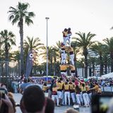 Die Autos wurden genau begutachtet