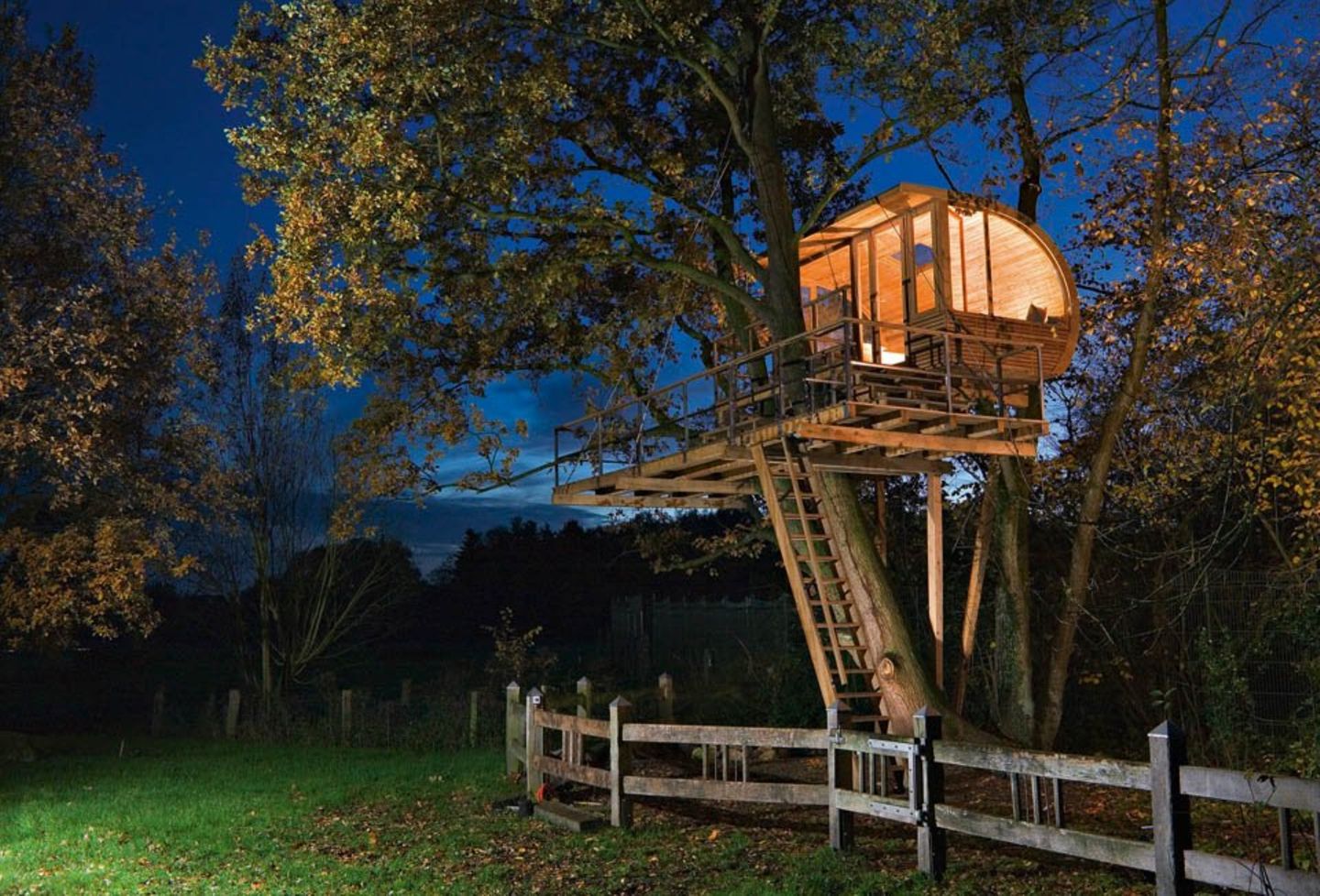 Go a tree house. Дом на дереве (Treehouse) Баумраум. Tree House Кишинев. Дом на деревьях Шотландия климанрюк. Treehouse домик на дереве.